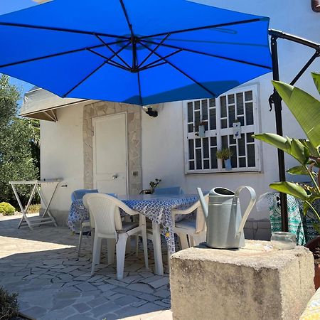 B&B Villa Mediterranee Con Parking Space Trani Zewnętrze zdjęcie