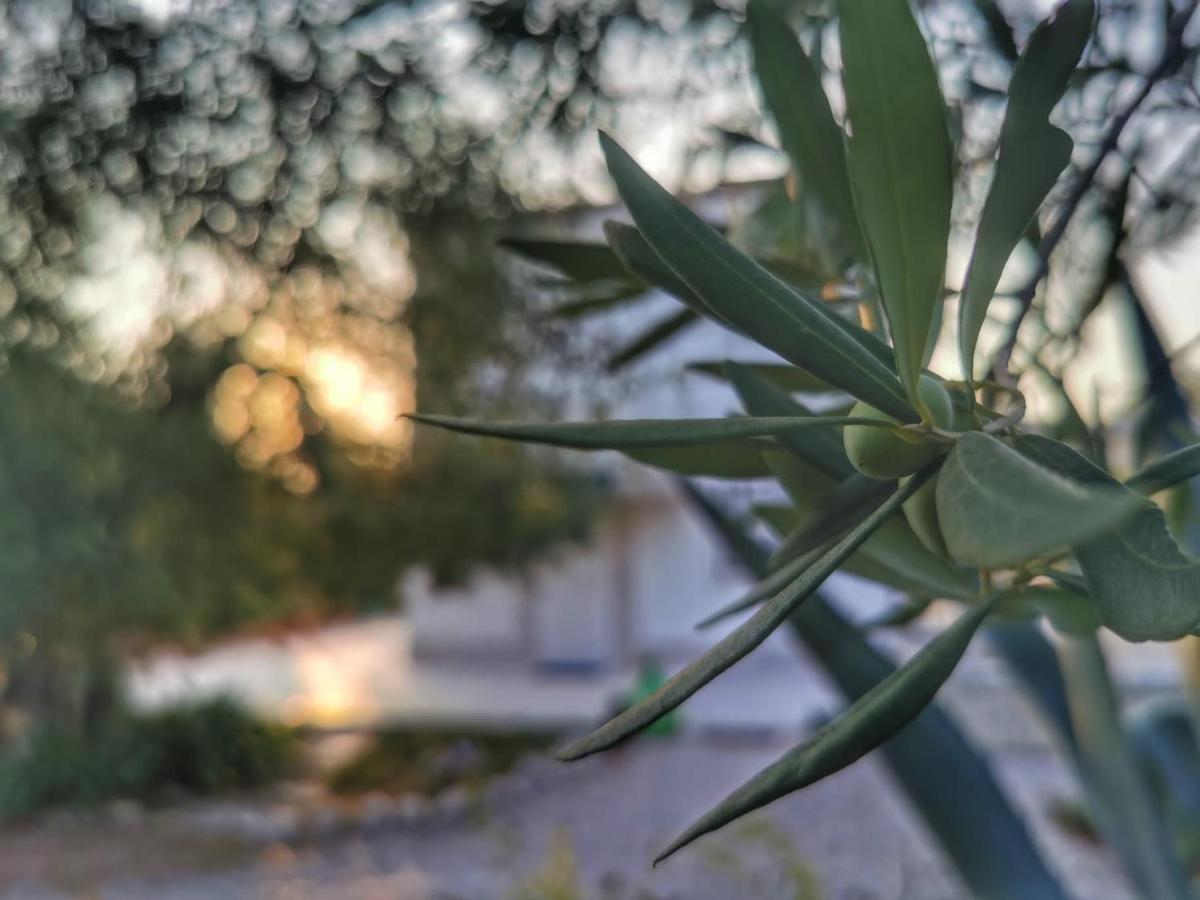 B&B Villa Mediterranee Con Parking Space Trani Zewnętrze zdjęcie