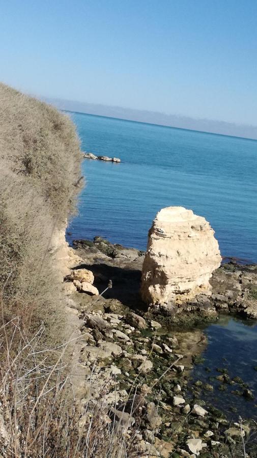 B&B Villa Mediterranee Con Parking Space Trani Zewnętrze zdjęcie