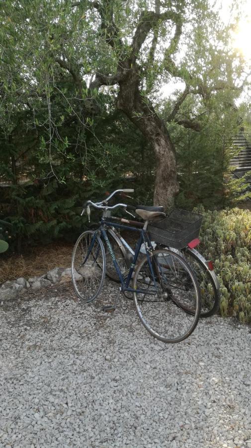 B&B Villa Mediterranee Con Parking Space Trani Zewnętrze zdjęcie