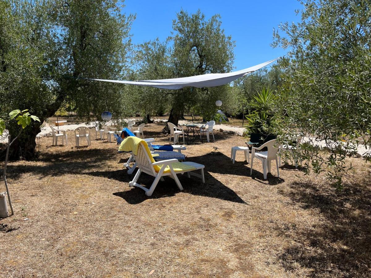 B&B Villa Mediterranee Con Parking Space Trani Zewnętrze zdjęcie