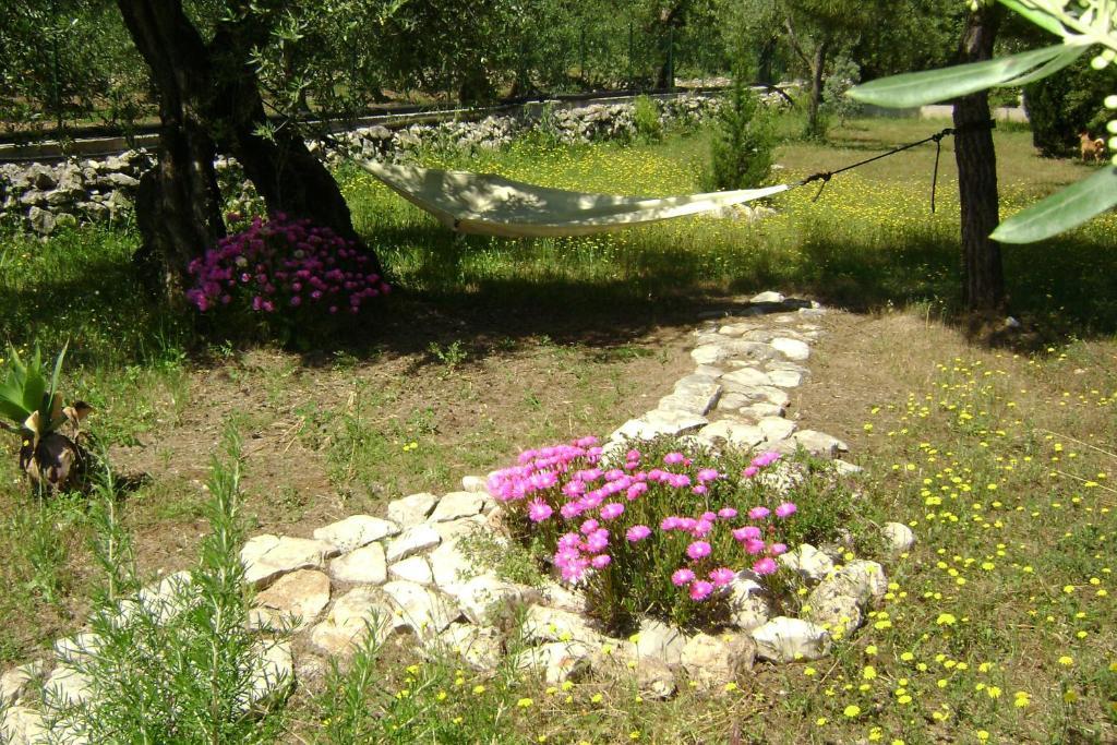 B&B Villa Mediterranee Con Parking Space Trani Zewnętrze zdjęcie