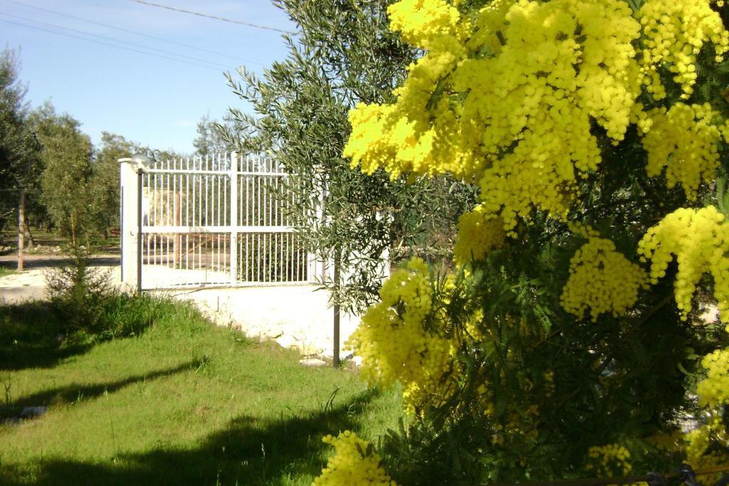 B&B Villa Mediterranee Con Parking Space Trani Zewnętrze zdjęcie